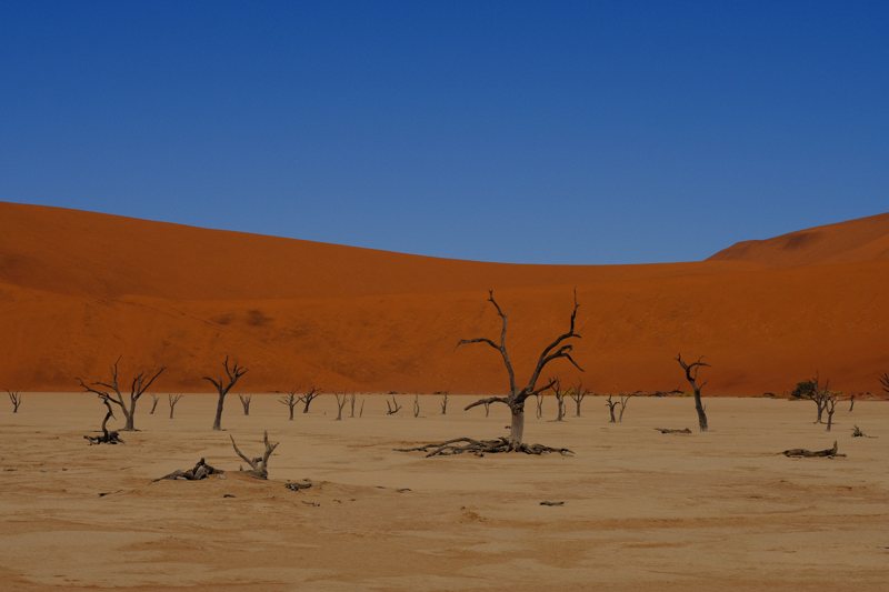 Sossusvlei